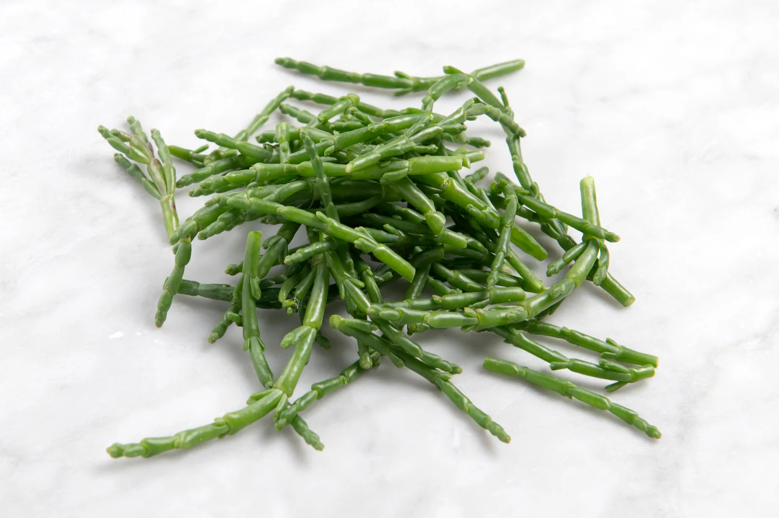 Fresh Samphire on a light background — illustrative photo