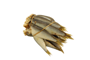 Bosje Sprot — Schaap's Vishandel Leiden