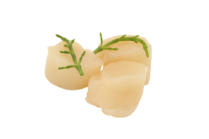 Coquilles bij Schaap's Vishandel in Leiden
