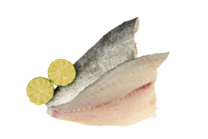 Dorade Filet — Schaap's Vishandel Leiden