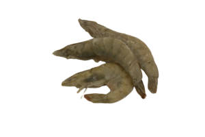 Franse Gamba's — Schaap's Vishandel Leiden