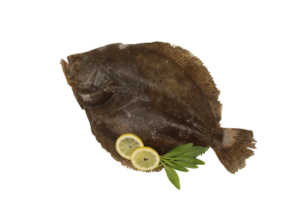 Griet — Schaap's Vishandel Leiden