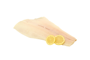 Heilbotfilet — Schaap's Vishandel Leiden